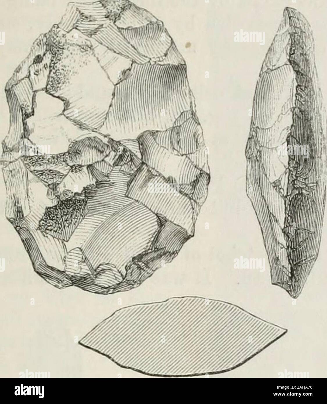 . The ancient stone implements, weapons, and ornaments, of Great Britain. 16.—Near Newhaven. ? Smithsonian Ecjjort, 1863, p. 379; 1868, p. 401. Flint Chips, 145. t xix. 53. X Journ. Eth. Soc, N. S., ii. pi. xxviii. 7. SOME CAREFULLY CHIPPEI). 65 found at Cissbury, Sussex.* Mr. C. Monkman possesses another,SJ inches long, and rather narrower in its proportions, found at. Fig. 17.—Xear Liunstable. j Bempton, Yorkshire. I have some implements of much the same shape,though larger, from some of theancient flint-implement manufac-tories of Belgium. The next specimen (Fig. 18)which I have engraved is Stock Photo