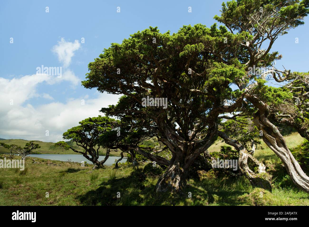 Lagoa do Capitao, Pico Island, Azores, Portugal Stock Photo