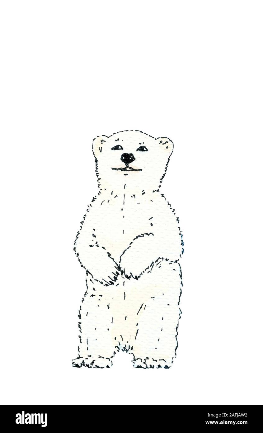 Polar bear. Black outline on white background. Hand drawing watercolor sketch. Picture can be used in greeting cards, posters, flyers, banners, logo, Stock Photo