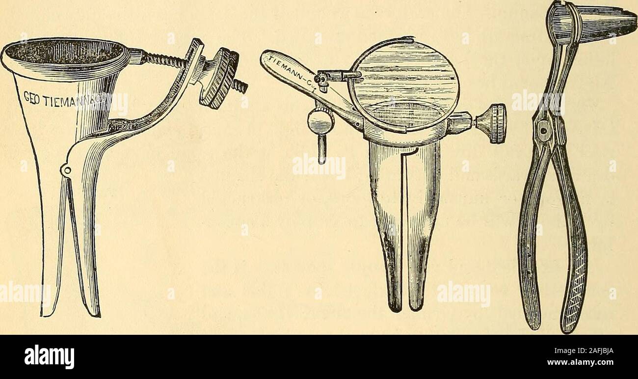 Bi valve hires stock photography and images Alamy