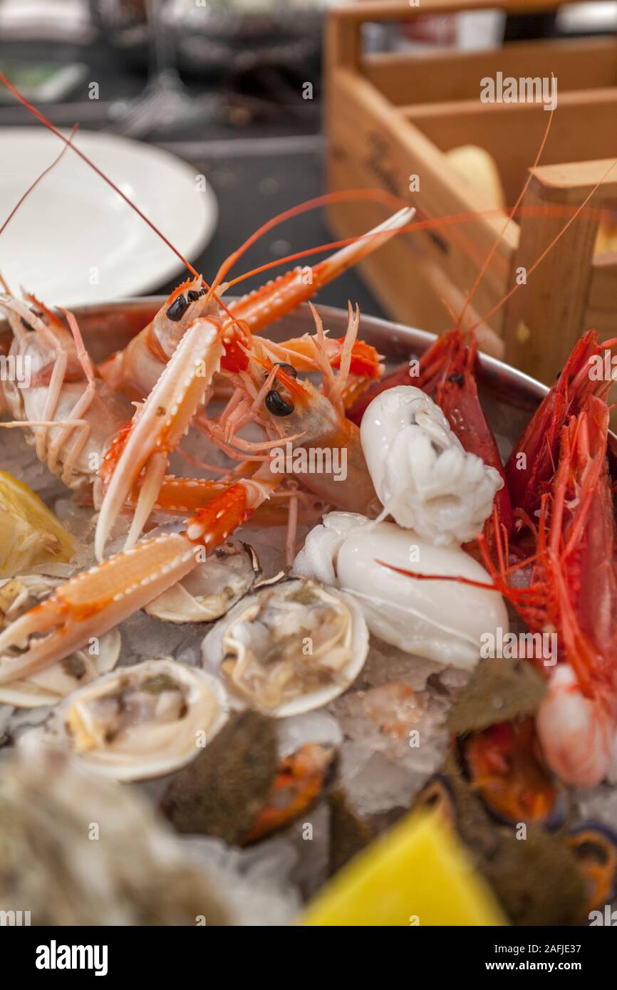 Raw Fish entree: Shrimps, Oyster, Clam,  Trani, Bari, Apulia, Puglia, South of Italy Stock Photo