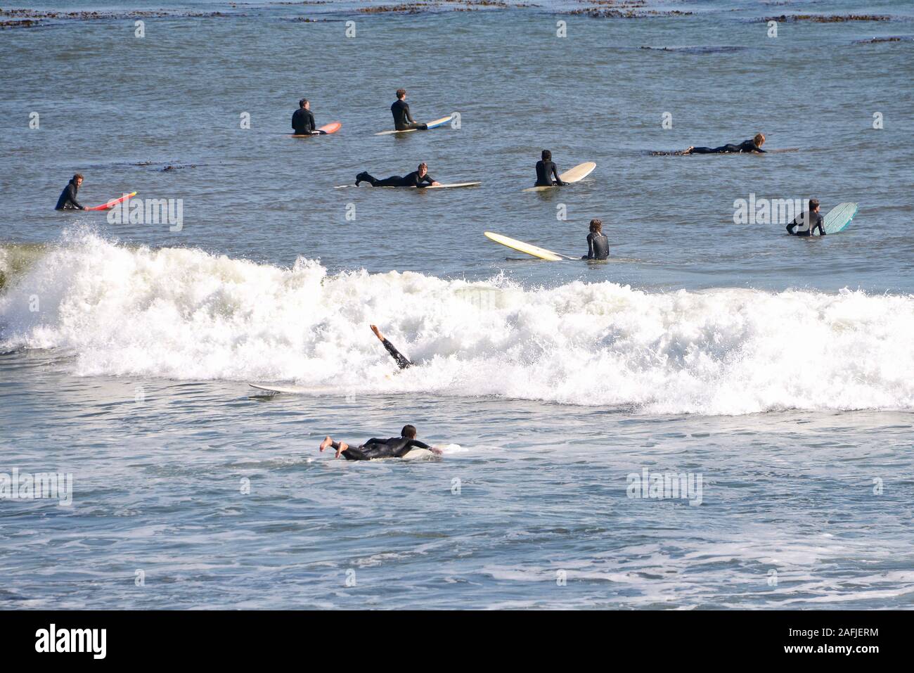 Free Images : man, ocean, surfer, surf, surfboard, extreme sport, water  sport, wind wave, boardsport, surfing equipment and supplies, surface water  sports, individual sports, bodyboarding, wakesurfing 4913x3456 - - 125818 -  Free stock photos - PxHere