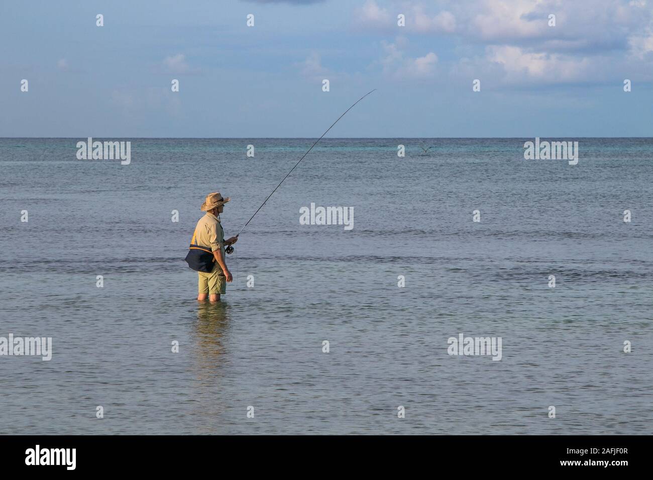 Unidentified man surfcasting in Aruba in the morning hours. Stock Photo