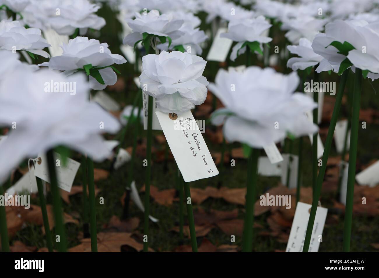 A close up of a message left on a rose in the Ever After Garden in Grosvenor Square, London, which is filled with thousands of glowing roses in memory of absent friends and family. Stock Photo