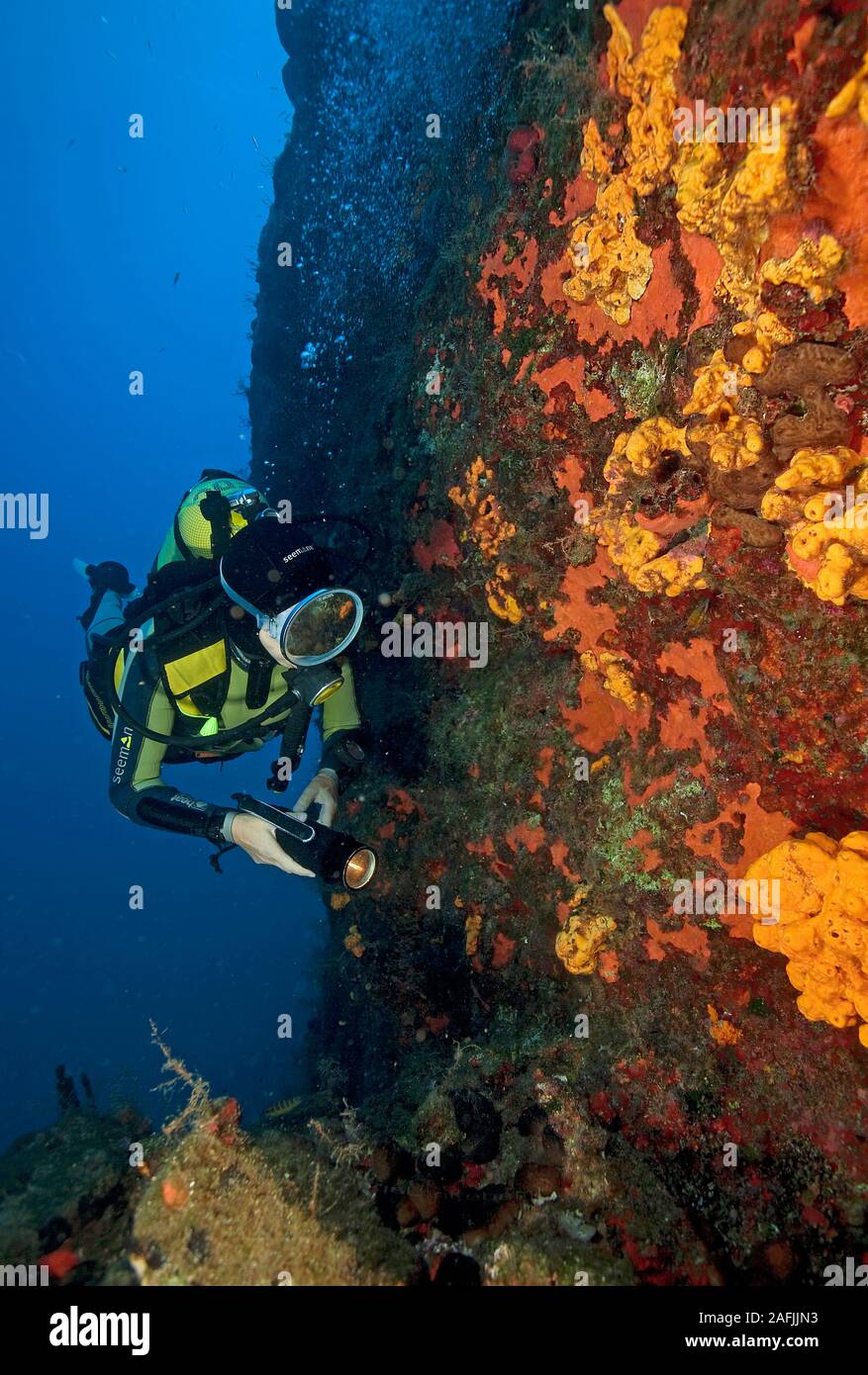 Scuba diver at a rocky reef with red mediteranean sponges (Spirastrellidae), Bodrum, Turkey Stock Photo