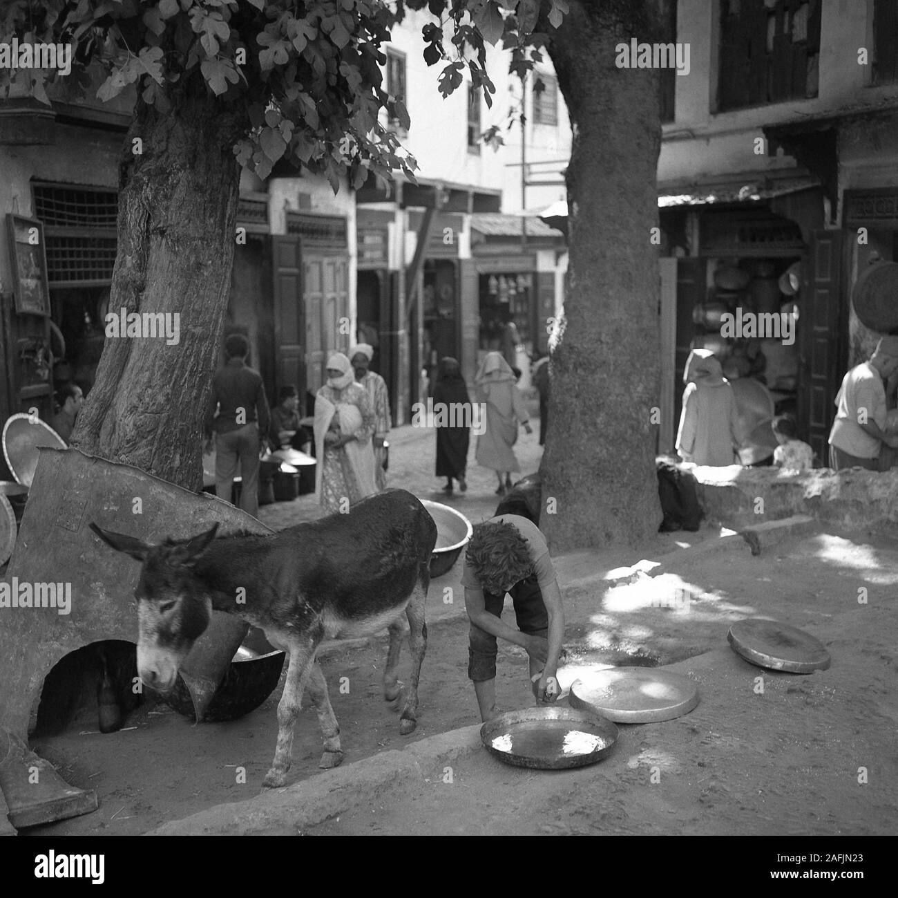Formed sheet metal, a donkey and a boy in Meknes in Morocco Stock Photo