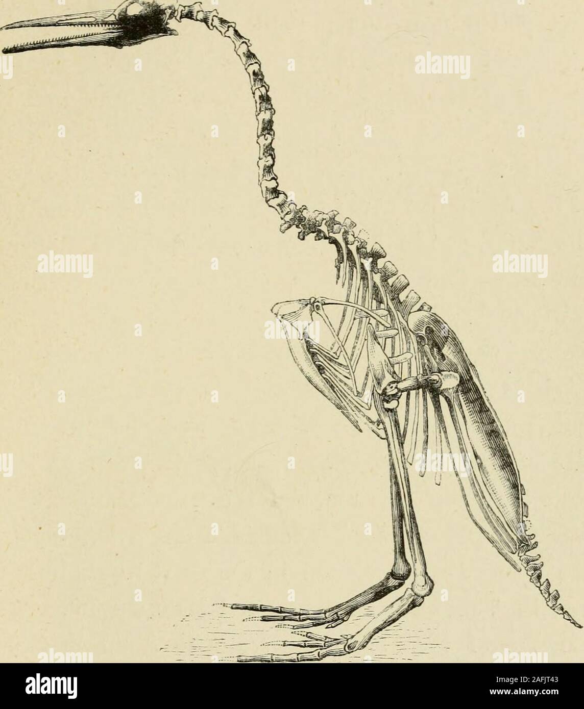 My Image 19