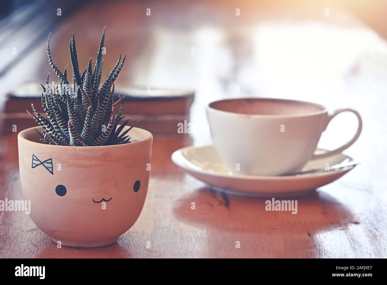 Small Plant Pot Cactus On Table In Coffee Bar Decoration Display