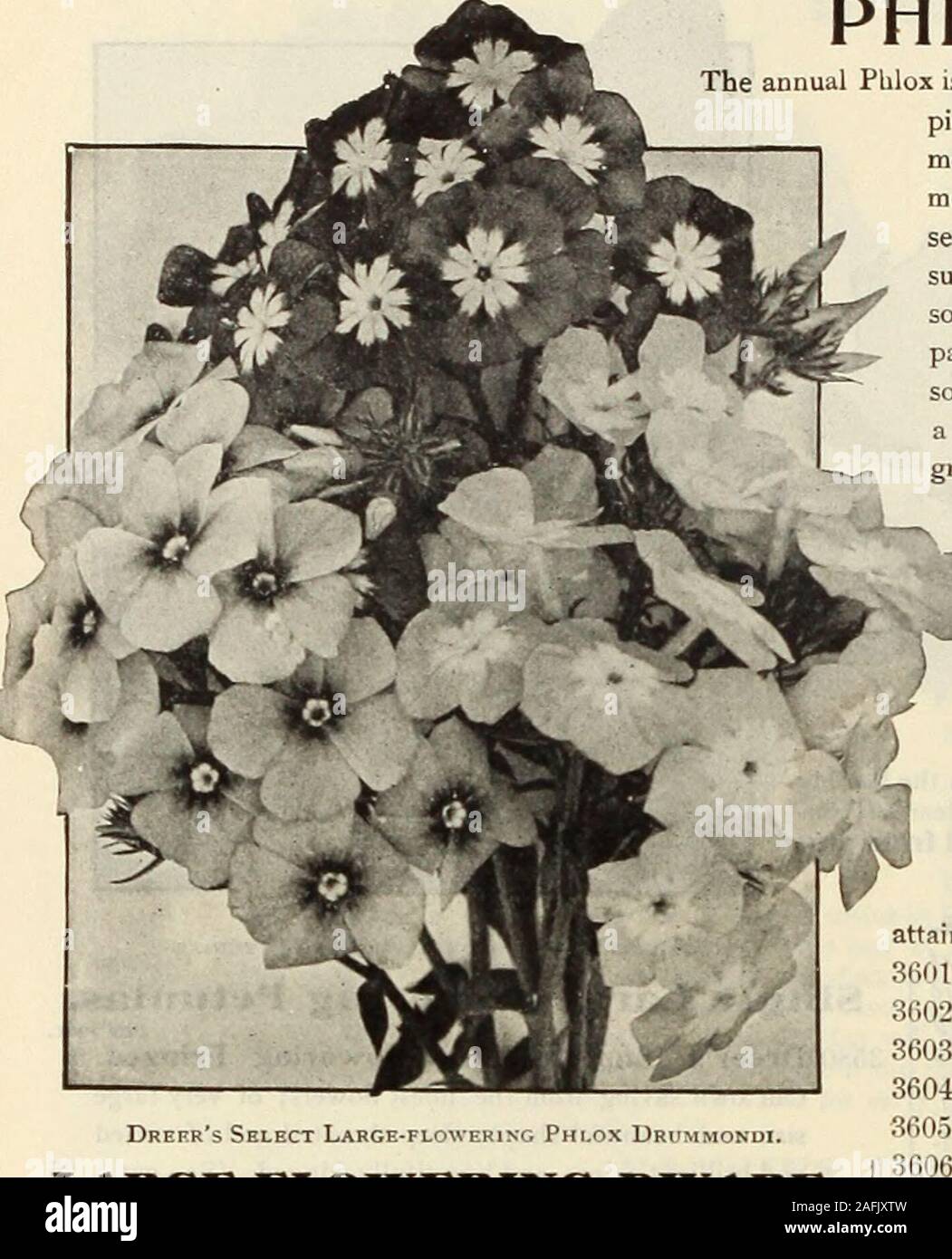 May 1915 hi-res stock photography and images - Page 38 - Alamy