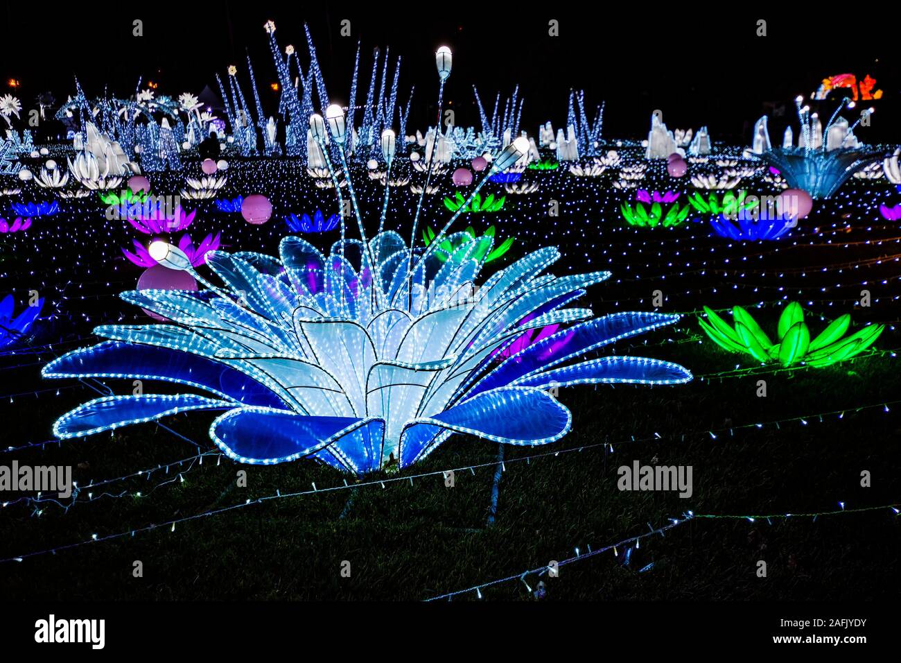 Randall's Island , New York, NY, USA December 8, 2019. LuminoCity's