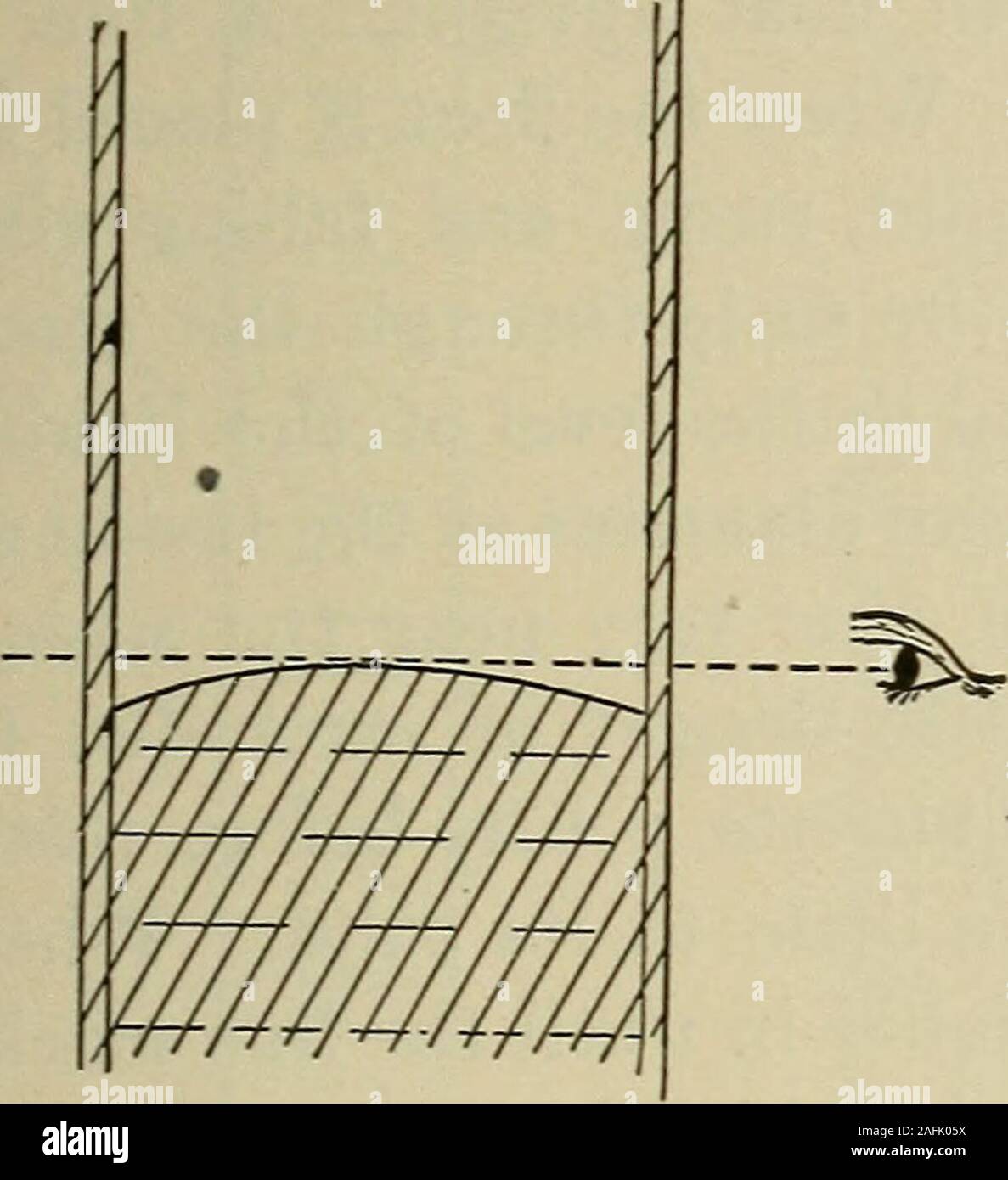 Laboratory Exercises In Elementary Physics Tube Or Graduate It Will Be Found That The Meniscus Is Re Versed Fig 51 Curving Up In The Centre Instead Of Down In This Case Always Read