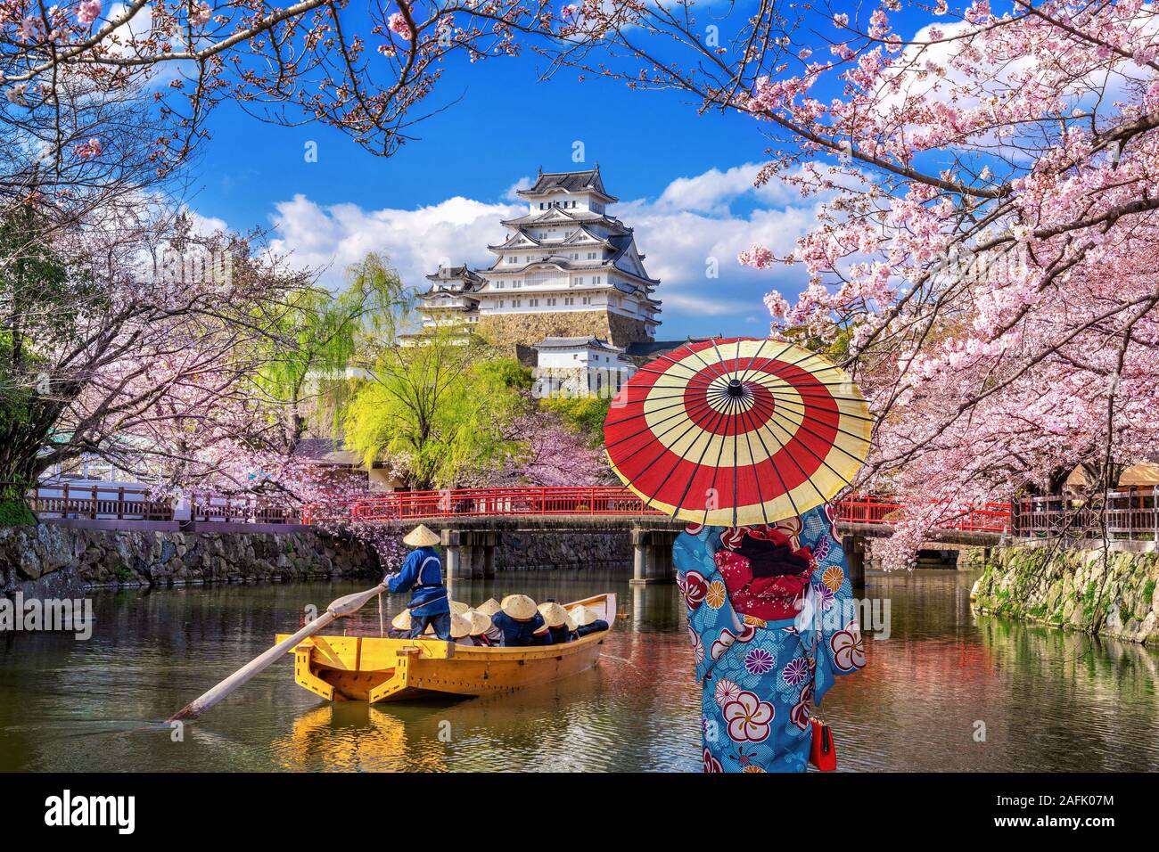 Asian woman wearing japanese traditional kimono looking at cherry