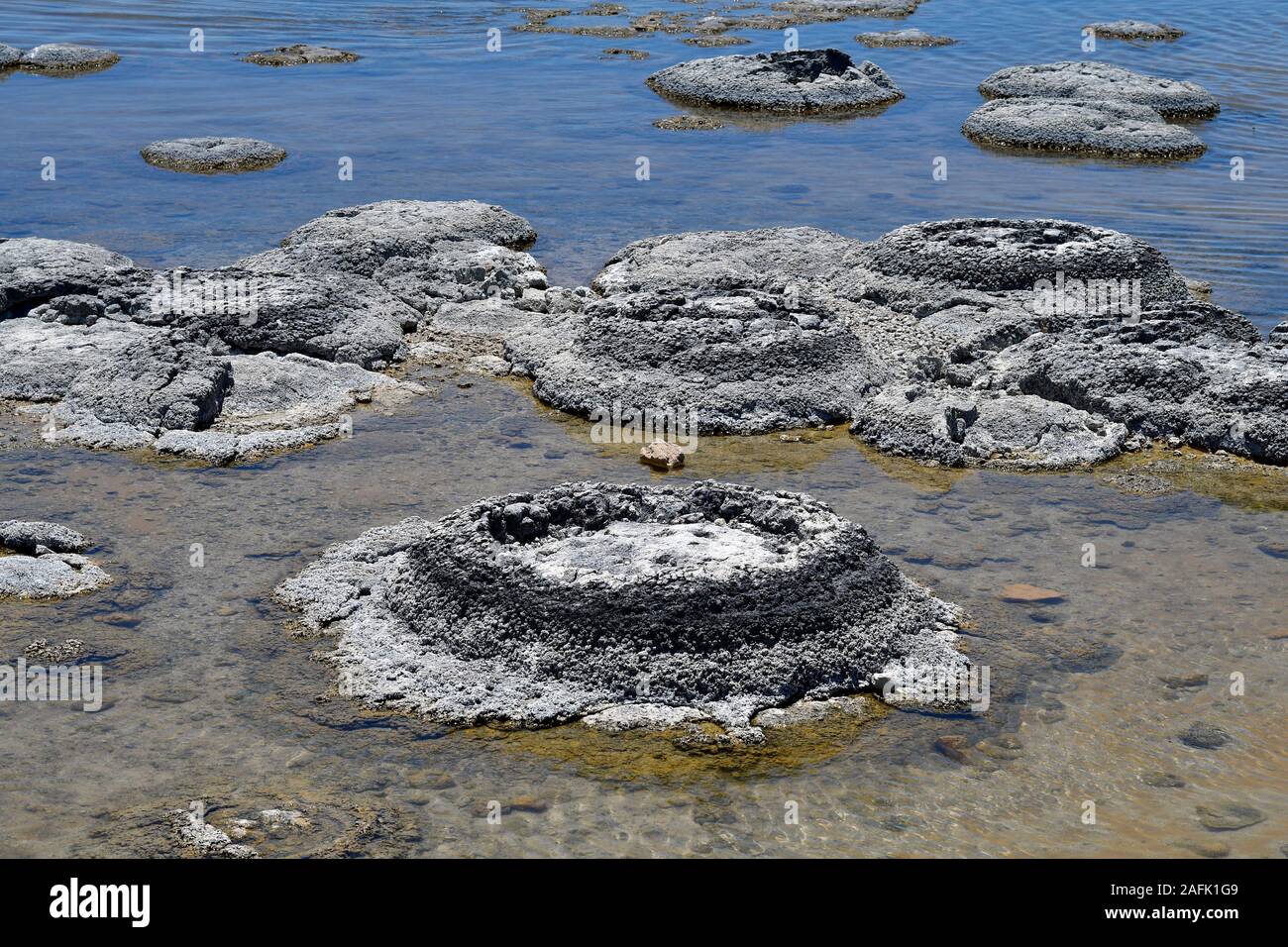 australia-wa-stromatolites-in-lake-thetis-bio-chemical-structures