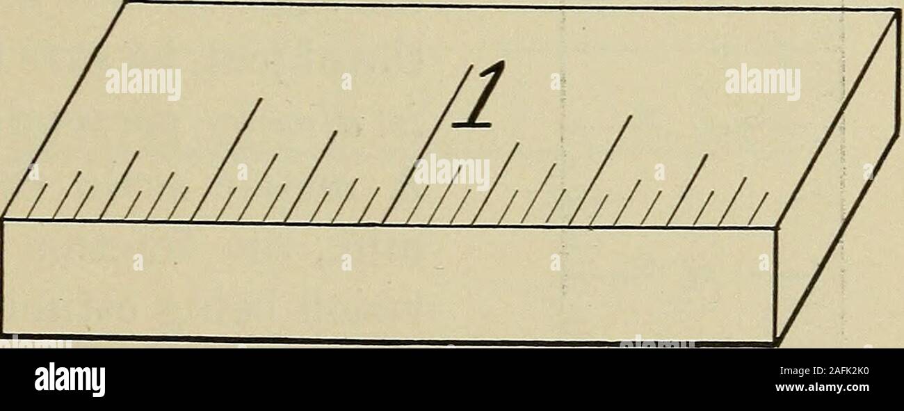 Quarter inch to scale deals