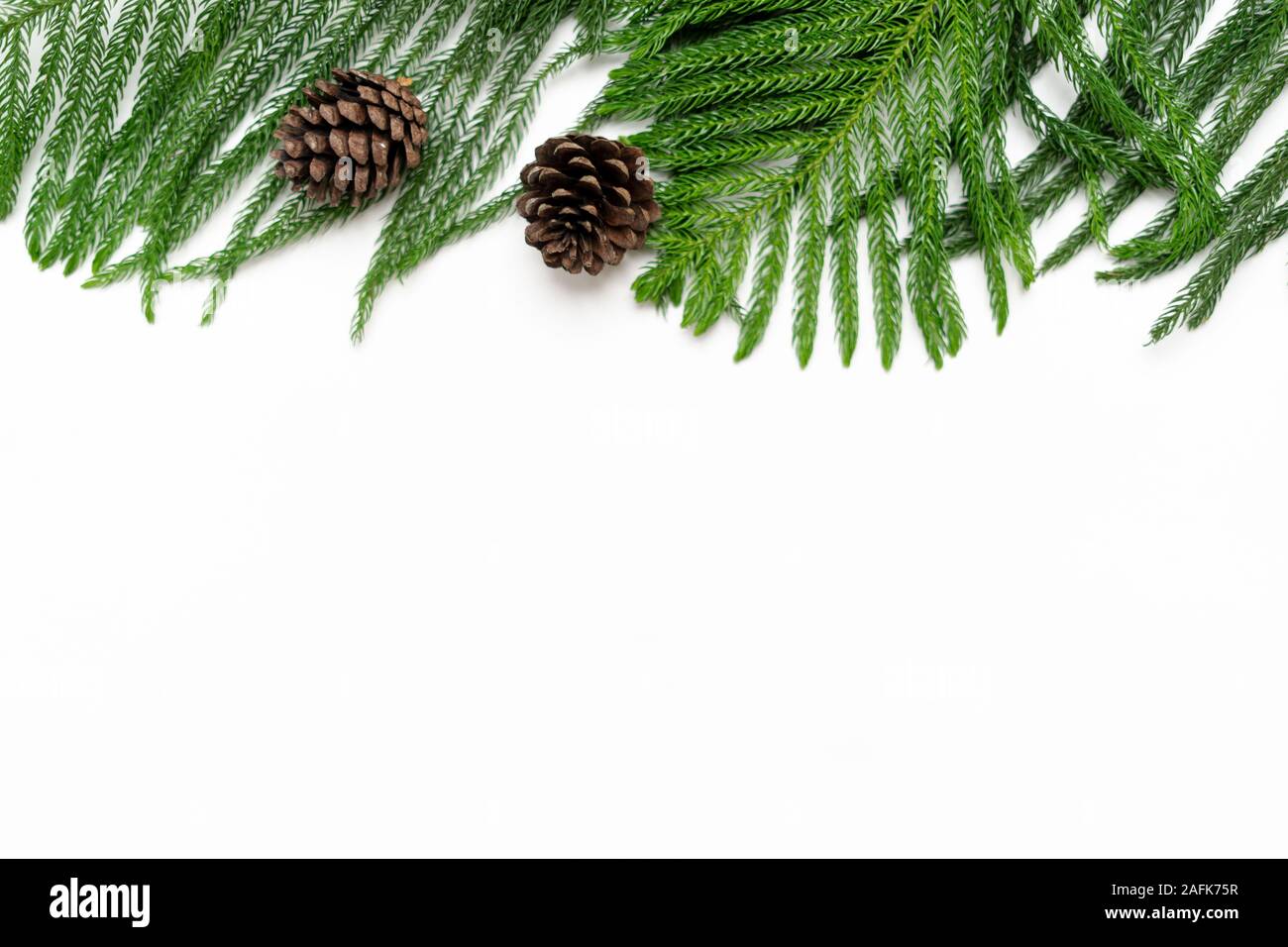 Christmas - Pine cones and branches White background Stock Photo - Alamy