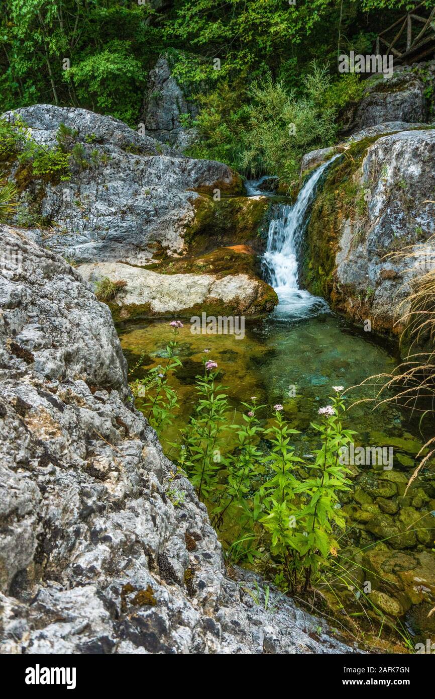 Waterfall and flowers on the background of stones in Greece Stock Photo
