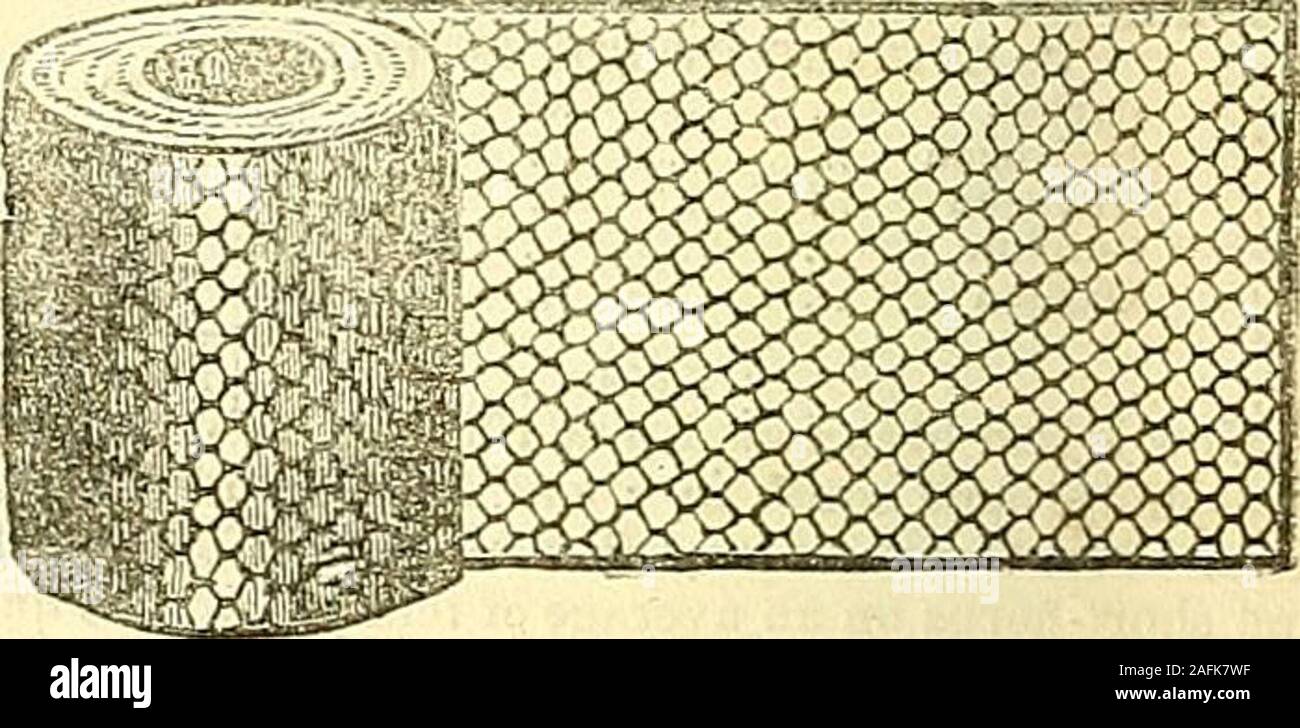 The Gardeners Chronicle And Agricultural Gazette Byacma Aowerdisbls Pr0ffig4tinc8be Cucumber Classes Tmillingtons Sheet Glass Which Is Of The Best Description Varving From 16 To 32 Ounces Atfrom 2d Per Foot And