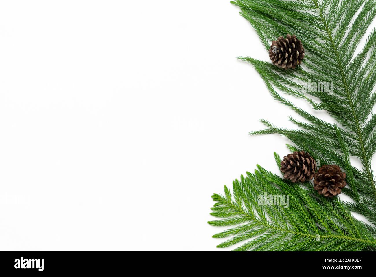 Christmas - Pine cones and branches White background Stock Photo - Alamy