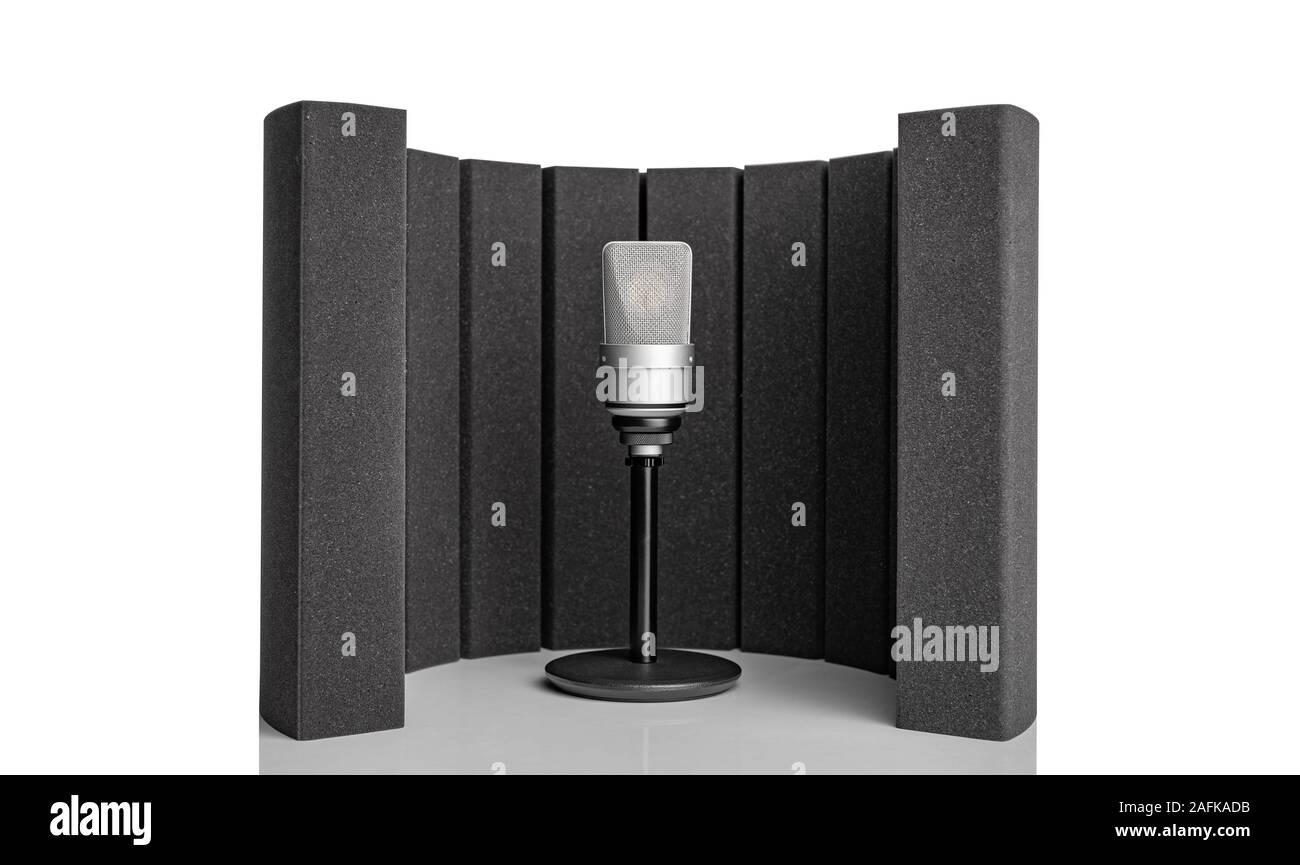 Professional microphone and a studio microphone screen for recording in