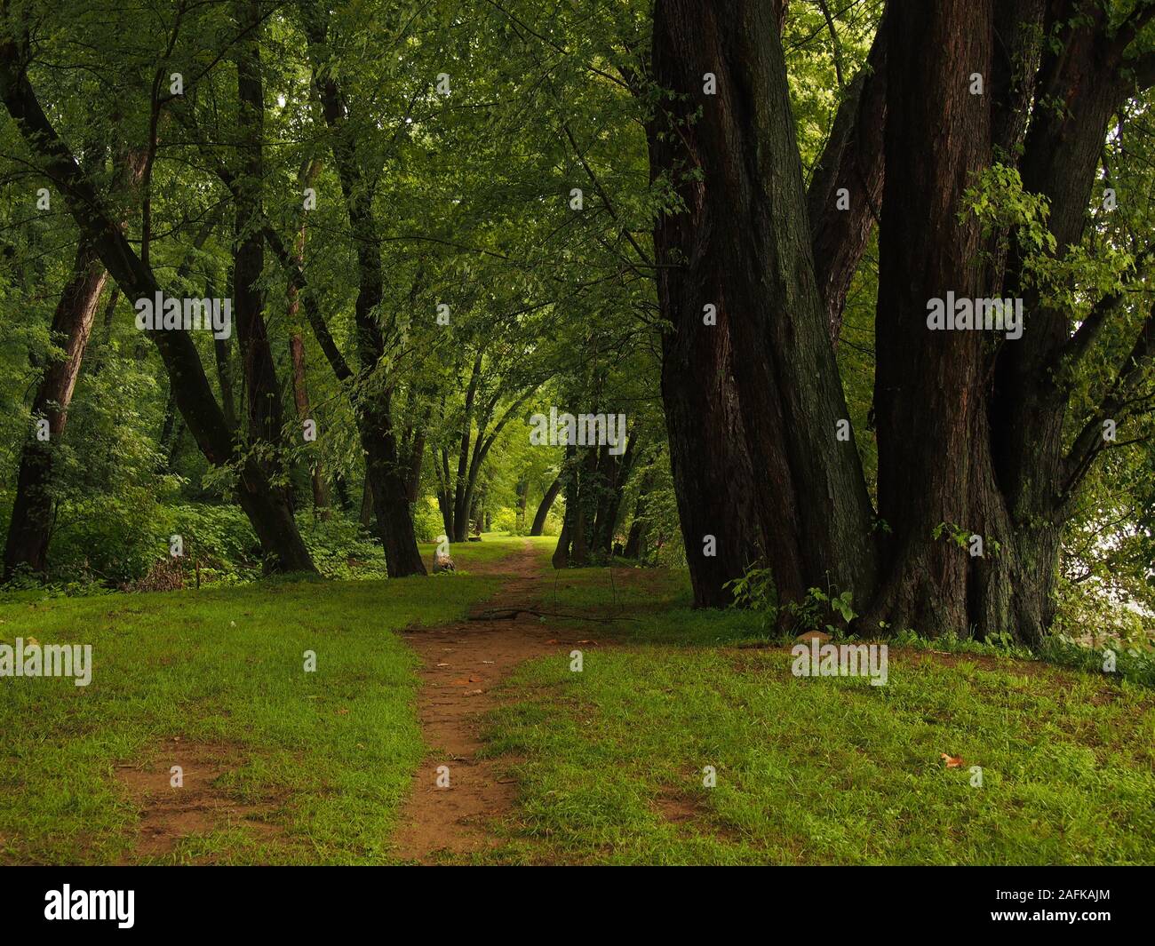 Pleasant Path Pathway journey hi-res stock photography and images - Alamy