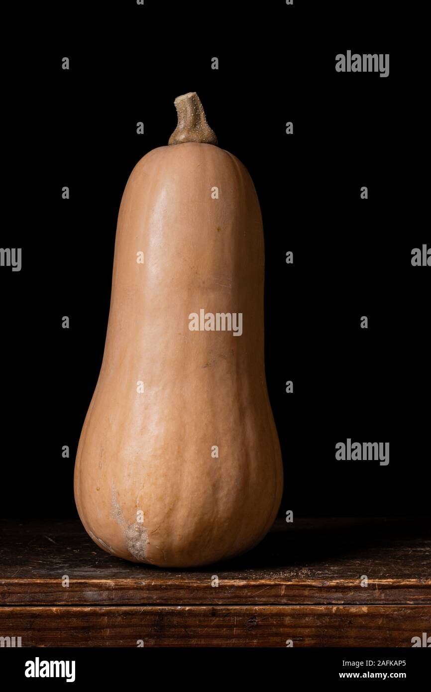 Butternut squash Stock Photo