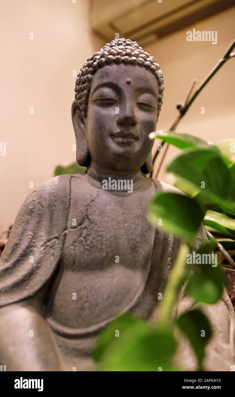 Figure and statue of Buddha in interior of apartment with green plants