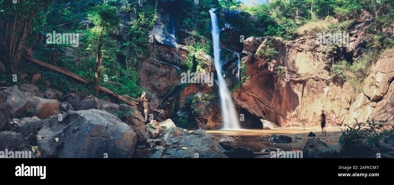 Tropical rain forest hi-res stock photography and images - Alamy