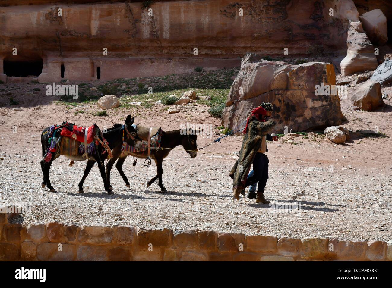 Petra, Jordan - March 06, 2019: Unidentified Bedouins with donkeys for tourist ride in ancient Petra, a UNESCO World heritage site in Middle East Stock Photo