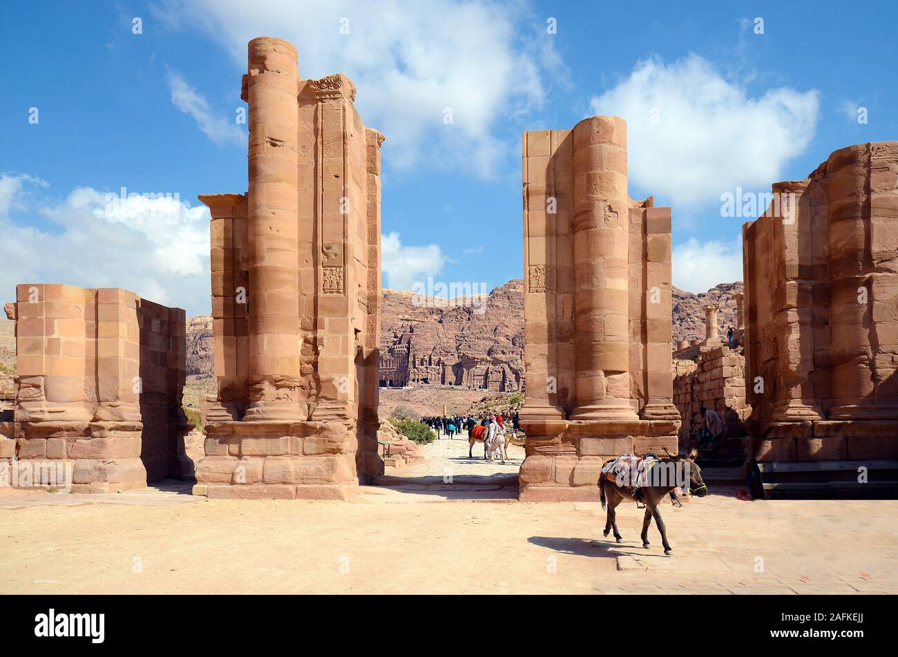 Jordan, columns at entrance and donkey in UNESCO World heritage site of ancient Petra Stock Photo