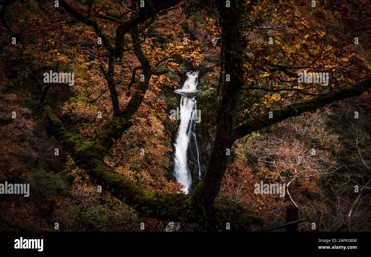 Mynach Waterfall during Autumn. Stock Photo