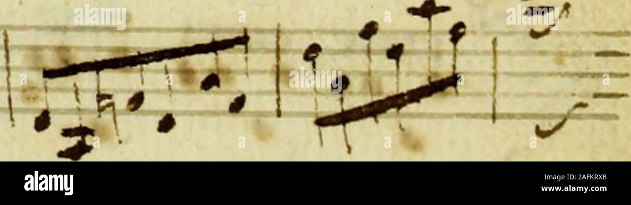 T5 1 High Resolution Stock Photography And Images Alamy
