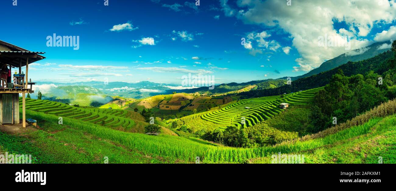 Panoramic landscape rice terrace in Asia at sunrise. Happy travel vacation destination, Wide panorama banner nature landscape Stock Photo