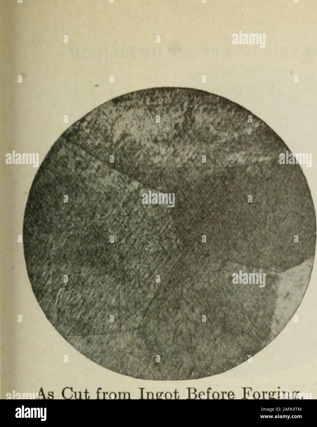 . Transactions. Annealed at 1000°.Fig. 13c.—X 40 Diam. Picric Acid. Fig. 14c.—X 10 Diam. Picric Acid. Alloy No. 3 Si 10. 0.472 PerCent. Silicon. Alloy No. 3 Si 31. 1.71 PerCent. Silicon.. T. D. YENSEN 297 pl.|,^,,..^M?ff#iiliWl?pljiJI(^PiWj^^ As Cut from Ingot Before Forging. Fig. 15a.— X 10 Diam. Picric Acid Stock Photo