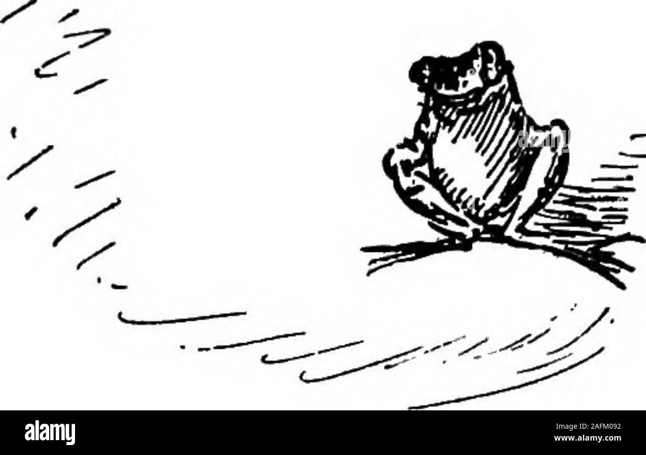 . Days in the open. CONTENTS I. The Boy and the BrookII. The Two Boys . III. The Town-Meeting at Blue Pool IV. In the North Woods .V. Over the Simplon Pass VI. On Sea and Shore VII. Among the Northern Pines VIII. .In the Land of Nod IX. On Both Coasts . X. On Moosehead Lake Rock 13 25 354965758799III 125 8 CONTENTS XI. Among the Cut-Throats of Lake Chelan ..... 139 XII. Camping on the Nepigon . -151 XIII. In a House-Boat on the Kootenay 167 XIV. Skegemog Point .... 183 XV. In the Algoma Woods—and Be-fore ..... 199XVI. In the Valley of the Dwyfor . 213XVII. Boy Life in the Open . 225 XVIII. The Stock Photo