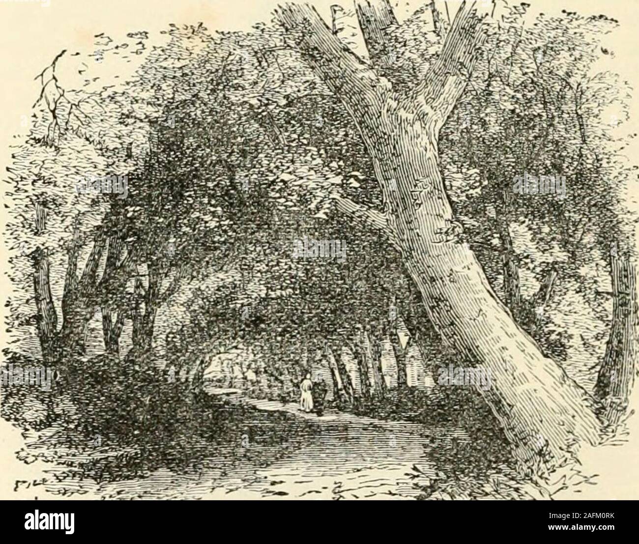 . Ward & Lock's descriptive and pictorial guide to the Isle of Man ...