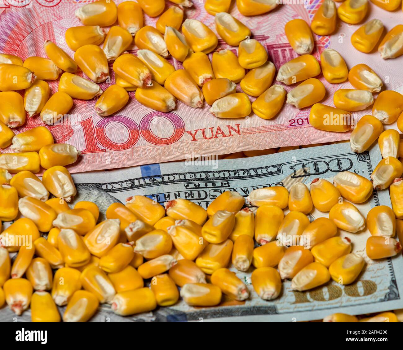 Chinese 100 yuan renminbi and American 100 dollar bill surrounded with corn kernels. Concept of China and United States of America trade war tariffs Stock Photo