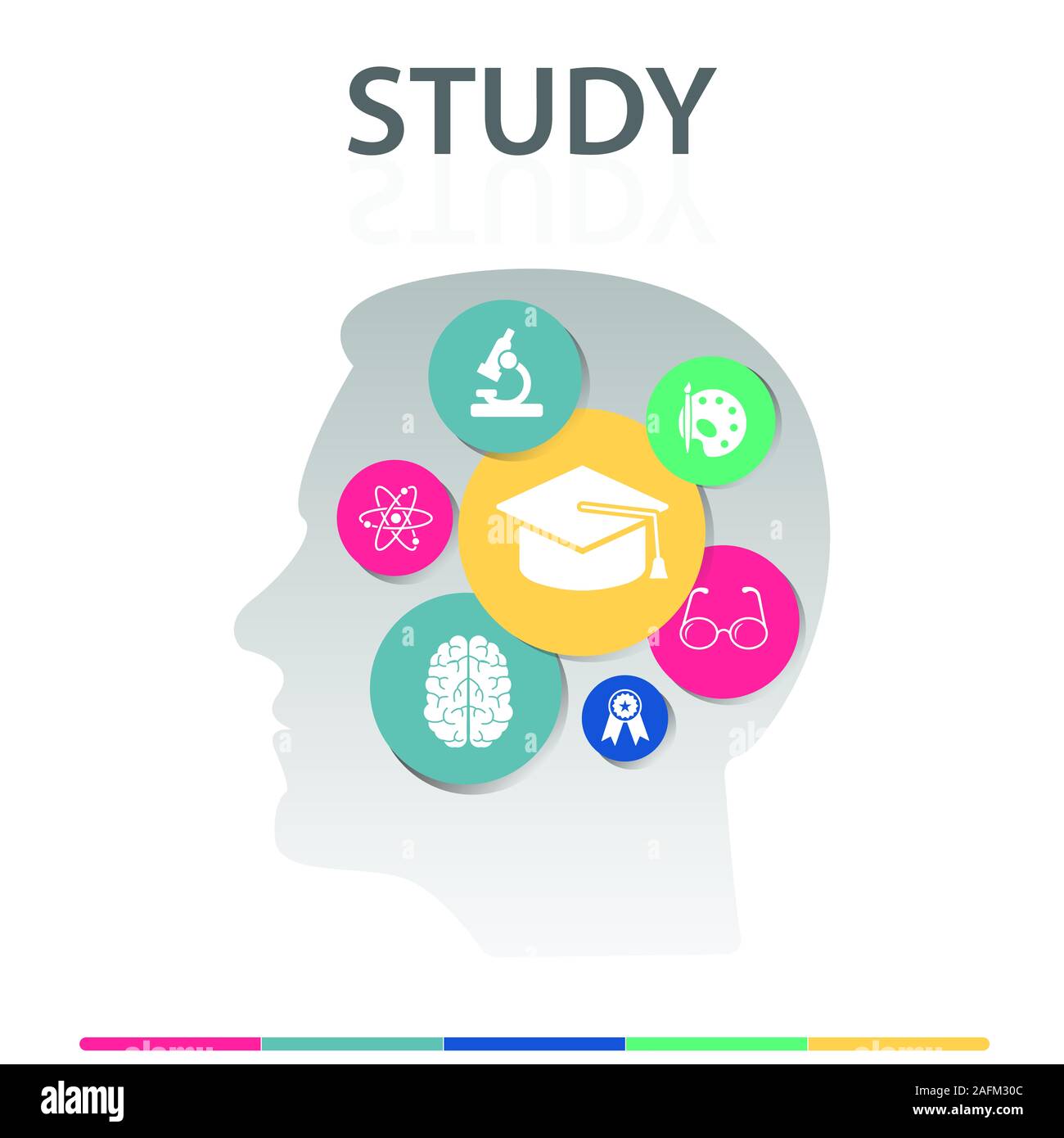 Study Infographics design. Timeline concept include graduation cap ...