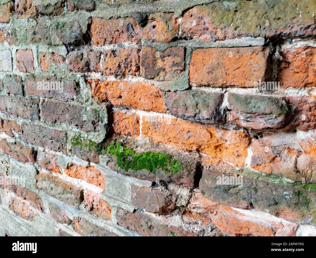 Full frame old red brick wall with moss Stock Photo Alamy