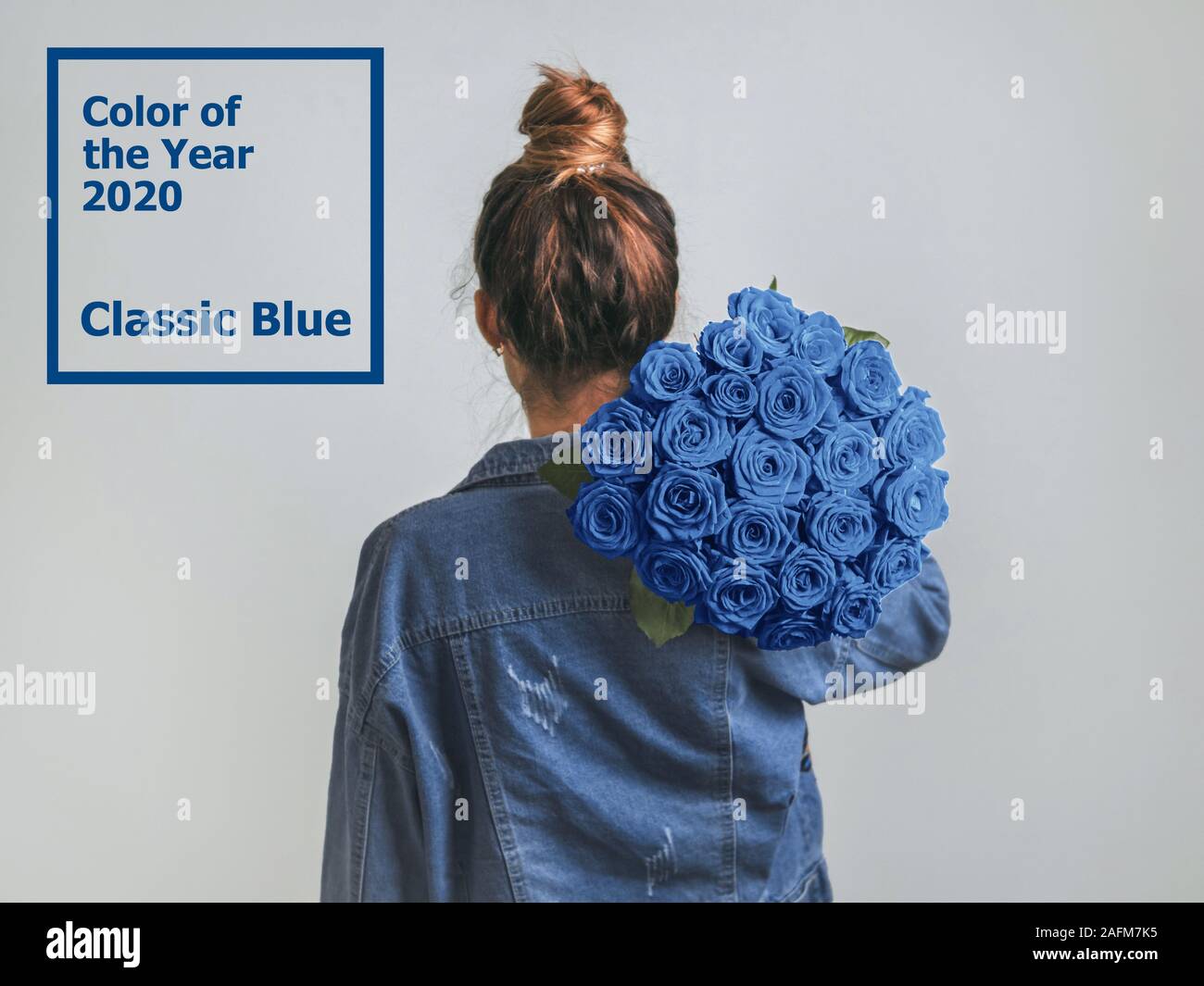 Back view of young woman in denim jacket holding bunch of blue roses on shoulder. Girl with bun updo in jeans holding flowers in Color of Year 2020 Classic Blue Stock Photo