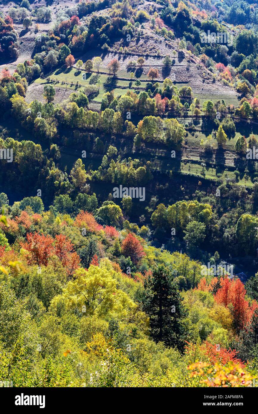 Autumn in the Sharr Mountain National Park near Prevalla,  above Prizren, Kosovo, central Balkans. Stock Photo