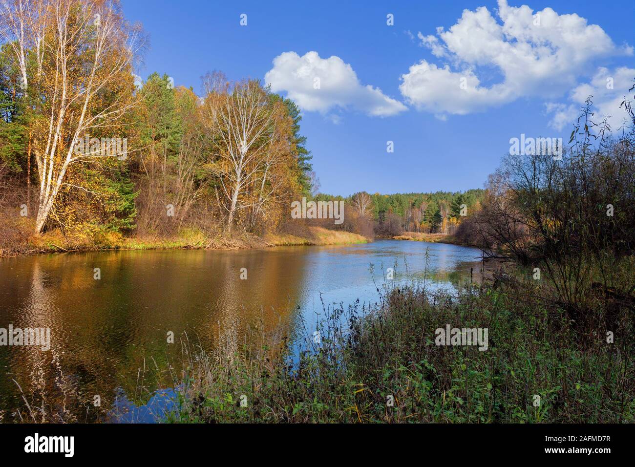 River bank at sunny autumn day. Beautiful landscape. Stock Photo