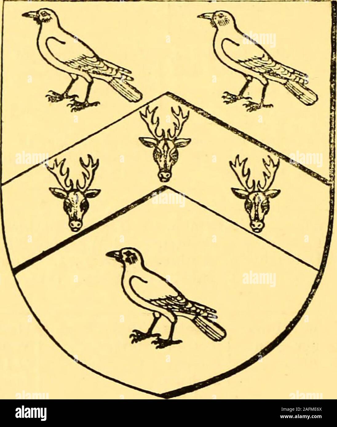 . Pedigrees recorded at the visitations of the county palatine of Durham made by William Flower, Norroy king-of-arms, in 1575, by Richard St. George, Norroy king-of-arms, in 1615, and by William Dugdale, Norroy king-of-arms, in 1666. m-=j=Frances, of AnthonyWelbury, 1st wife. Francis Mary.Sonne &heire, set.14, 1615. brigge, son& heir. dau. ofRobertRobson,2nd ^vife. Philip Bayn-brigge. ^Hester, dau. ofWilliam Baynbrige,of Lockington, inLeicestershire. I—I —i—I 2. Henry. 2. Thomasin. 3. Ralph. 3. Prances. I —^ 1 2. John, Bamaby, Elizabeth.xt. 10. xt. 12,1615. Verefied by the subscription of Thom Stock Photo