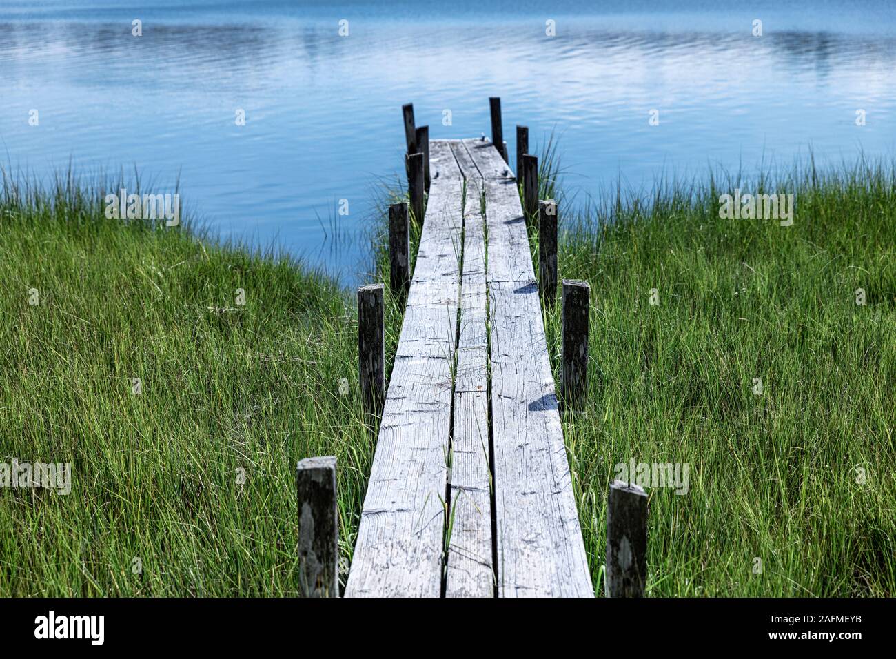 Narrow pier over salt marsh grass, Cape Cod, USA. Stock Photo