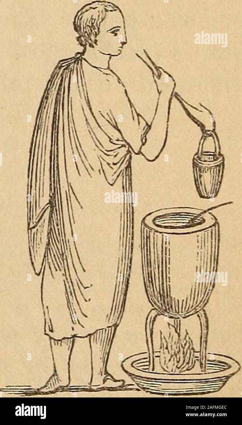 . The illustrated companion to the Latin dictionary and Greek lexicon ...