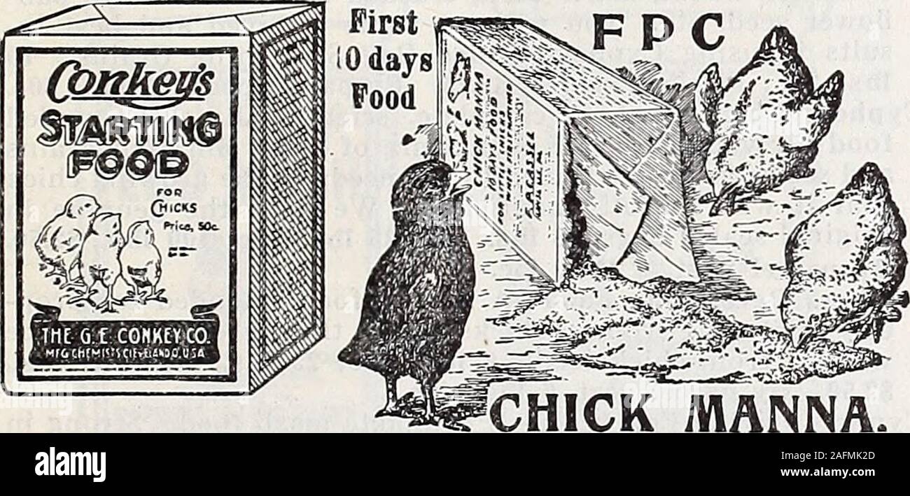 . 1915 annual catalogue. hicks than the right kind of feed. Our special brands are allof the best quality. The following prices are f. o. b. Memphis, freight or express charges to be paid by purchaser, excepting where pricesare noted postage paid. High Grade Chick Feed Chamberlains Perfect Chick Food. The original dry chick feed; guaranteed in every way. Con-tains no corn whatever. You are sure to raise the littlefellows by feeding Perfect Chick feed. We have it genuine.This is certainly the most perfect chick feed on the market.It is not expensive, considering the high quality of same.Your ch Stock Photo