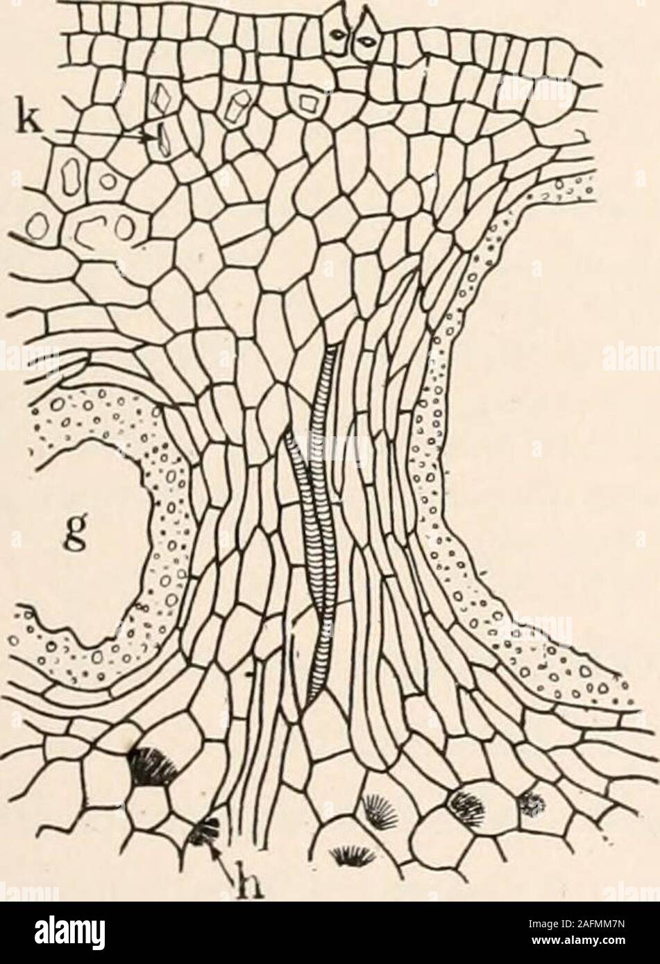 Fundamental ways hi-res stock photography and images - Alamy