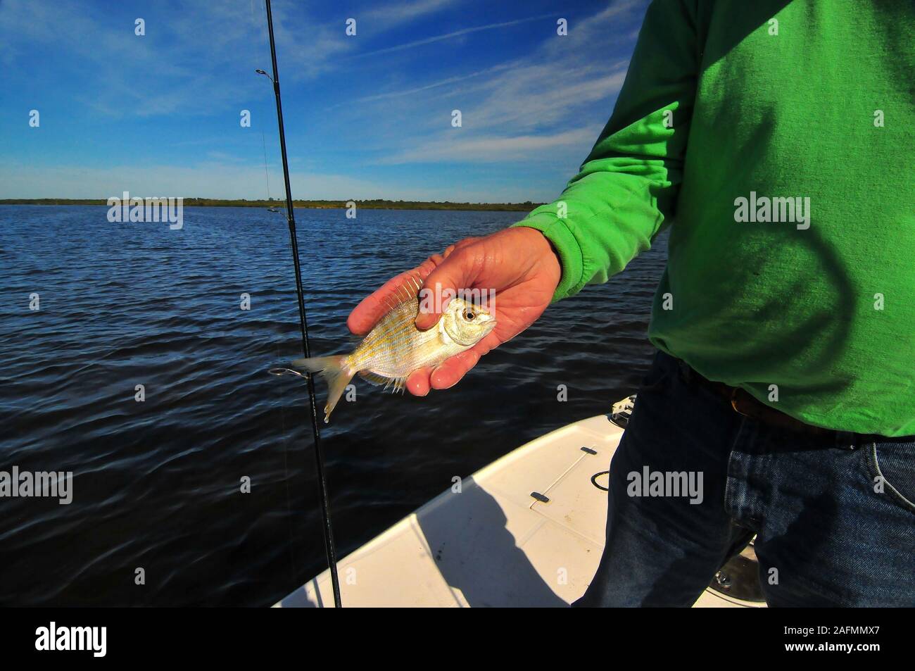 Giant fishing hook hi-res stock photography and images - Alamy