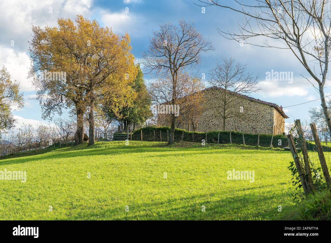the green carpet of Mendiola's neighborhood Stock Photo Alamy