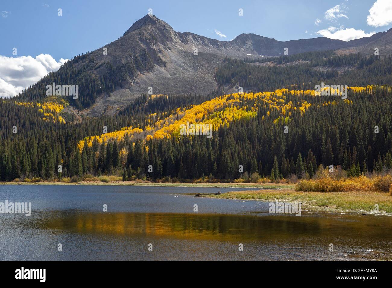 Kebler Pass a high mountain pass that starts in Crested Butte Colorado is a scenic fall color drive featuring golden aspens. Lost Lake Campground. Stock Photo