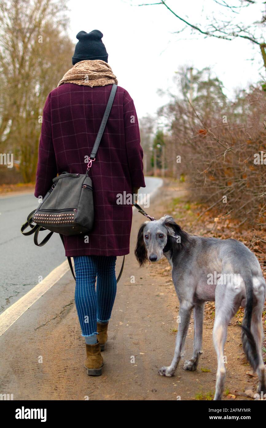 Owner and greyhound saluki dog outdoors walking in the park along road